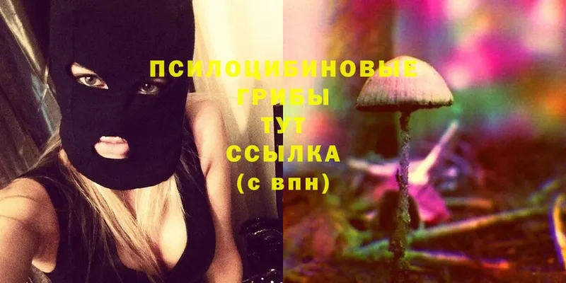 omg онион  наркотики  Лодейное Поле  Псилоцибиновые грибы Magic Shrooms 